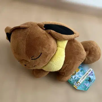 이브이 봉제 인형 제일복권 B상