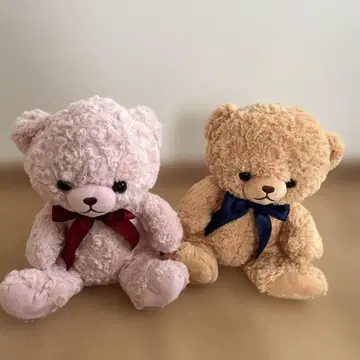 My Sweet Bear 봉제 인형 2체 세트