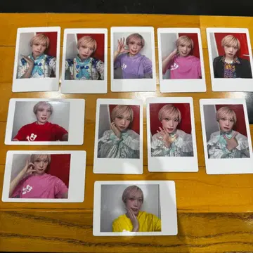 팬더드래곤 타이거 하피카