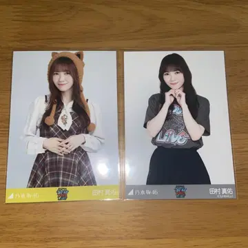 타무라 마유 안다라 T 브라운 코디 추 세트
