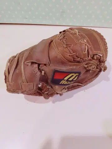 mizuno 포수 미트