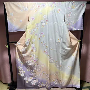 호몬기 팔레놉시스 사색 보카시
