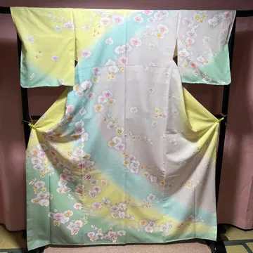 호몬기 팔레놉시스 사색보카시