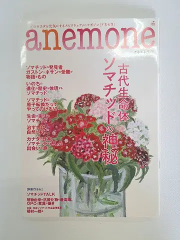 [ 초레어 ] anemone 고대 생명체 소마티드의 신비 쉬운 1권