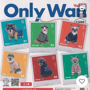 Only Wan Vol.4 피규어 5체 세트