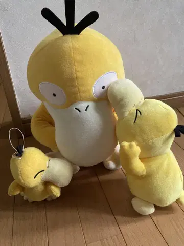 메챠모후굿토 봉제 인형 코닥 대중소