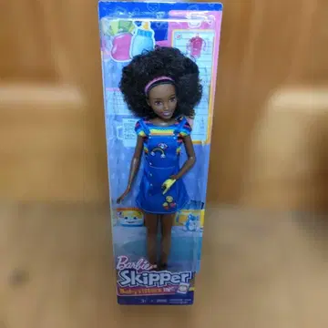 Barbie Skipper 바비 스키퍼