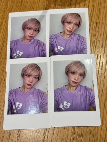 팬더 드래곤 파라곤 하피카 타이거