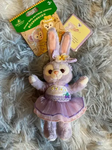 스텔라 루