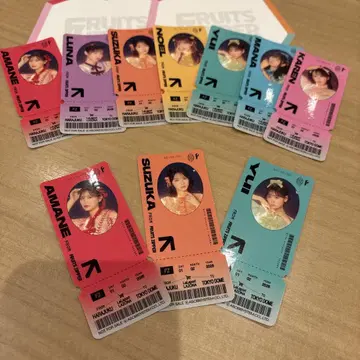 후르츠 지퍼 라라포트 스티커 세트