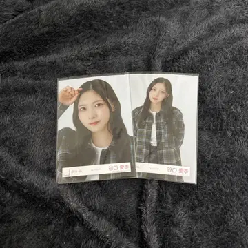 [ 익명 배송 ] 사쿠라자카46 브로마이드 타니구치 아이리