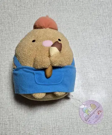 스미코구라시 화가 놀이 봉제 인형 돈카츠 인형 그림 그리기