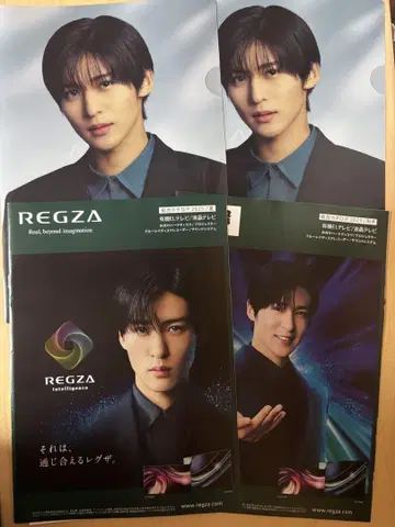 REGZA 클리어 파일과 팜플렛 세트