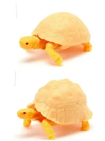 거북이 피규어 캡슐 토이 2개