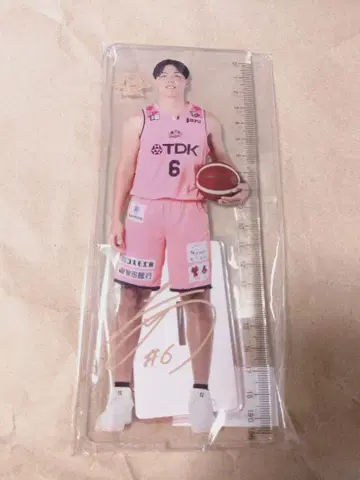 아카호 라이타 선수 눈금자