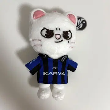 StrayKids KARMA SKZOO 지니렛 현진 키링