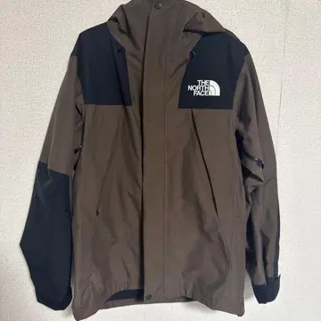 THE NORTH FACE 마운틴 후드티