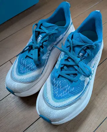 HOKA skyflow 26cm