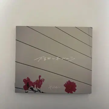 영 스키니 앨범