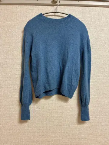 블루 스웨터