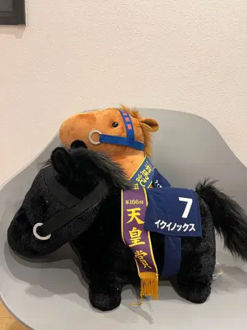 서러브레드 컬렉션 테이엠 오페라 오와 이퀴녹스