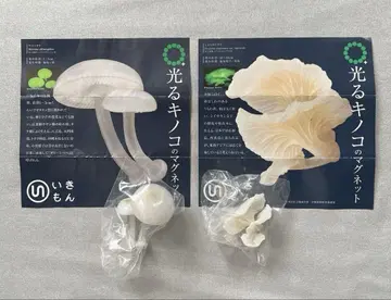 빛나는 버섯 마그넷 야광버섯 흰빛버섯 2개 세트