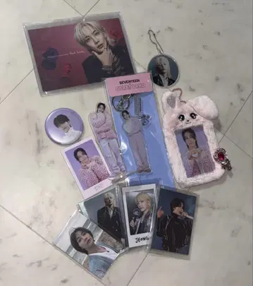 SEVENTEEN 세부치 정한 세트