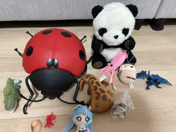 완구 여러가지 봉제인형 프리큐어 무당벌레 최강왕