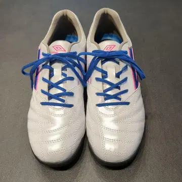 미사용 새상품 umbro 축구 트레이닝 슈즈 23cm