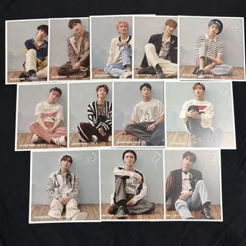 SEVENTEEN 흩날리는 꽃잎 응모 카드
