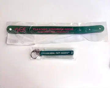 TM NETWORK YONMARU+01 호텔 키링 & 밴딩