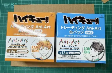 하이큐!! 트레이딩 Ani-Art 캔뱃지 Ver.A Ver.B