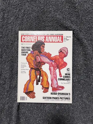CORNELIUS ANNUAL 투어 팜플렛 코야마다 케이고