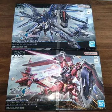 HG 라이징 프리덤 & 이모탈 저스티스