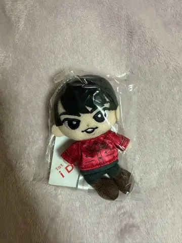 스노치루 미야타테 료타 인형