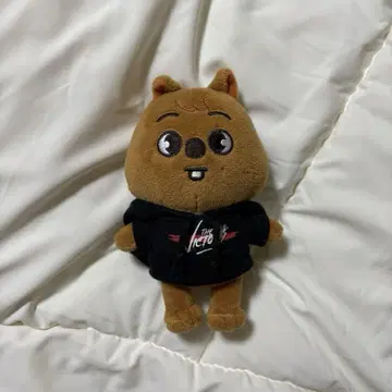 한쿼카 한지성 skzoo