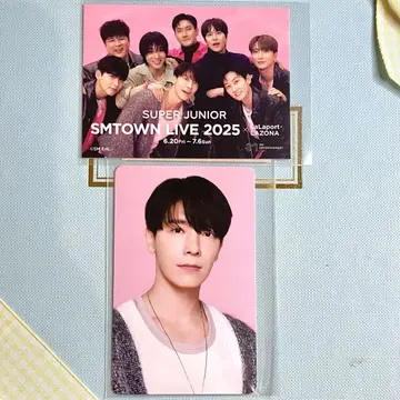SMTOWN 슈퍼주니어 동해 트레이딩 카드 스티커 세트