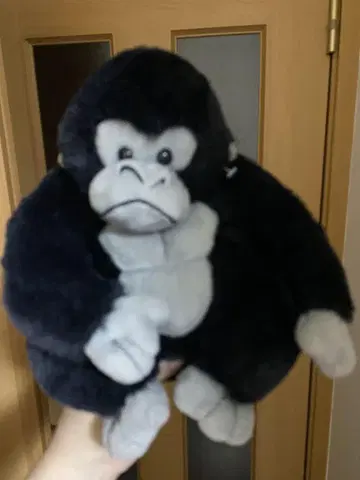 요네고리 군! 봉제 인형 블랙