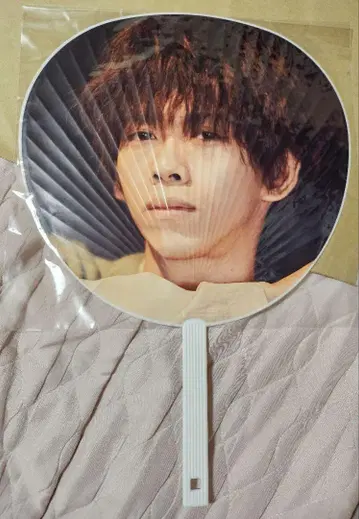 초특급 료가 부채