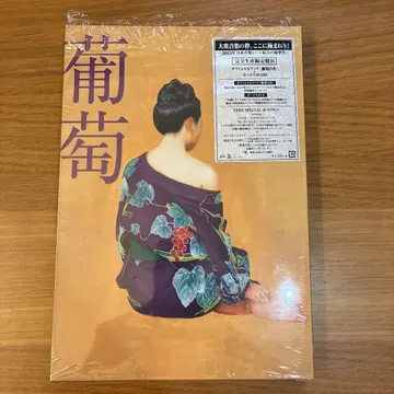 서던 올스타즈 포도 레어 완전 생산 한정판 B