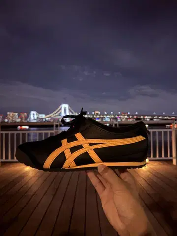오니츠카타이거