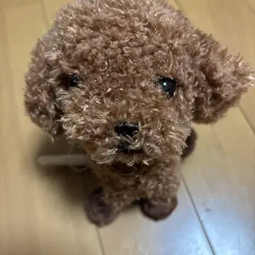브라운색 강아지 봉제 인형
