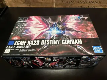 HG 1/144 데스티니 건담 ZGMF-X42S
