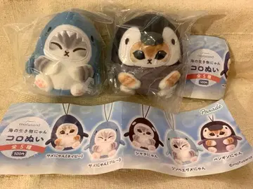 모프 샌드 바다 생물냥 코로누이 상어냥 펭귄냥 2