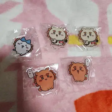 치이카와