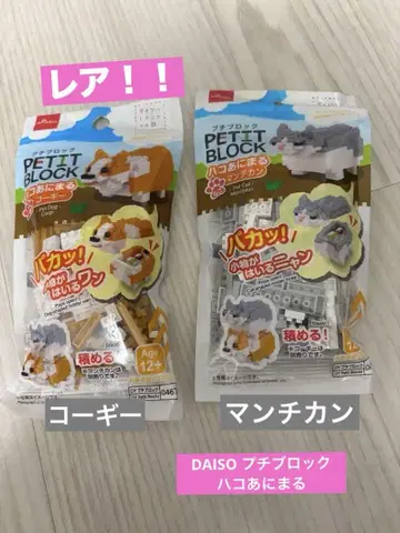 레어! 푸치 블록 다이소 하코 애니멀 코기 먼치킨
