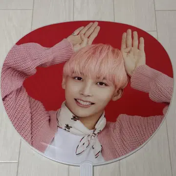 SEVENTEEN 정한 부채