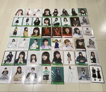사쿠라자카46 타무라 호노 생사진 48장 묶음 판매