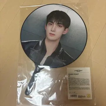 seventeen 도겸 부채 right here japan