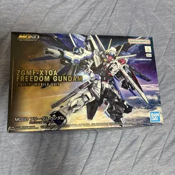 MG ZGFM-X10A 프리덤 건담